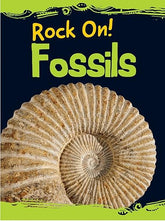 Fossils (Rock On!) Fossils (Rock On!)